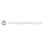 Napigazdaság.com logo - Flybuilt megjelenés